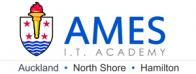 AMES I.T. Academy logo